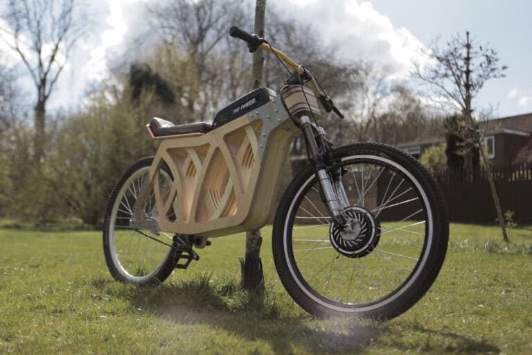 electraply-un-speedbike-au-cadre-en-bois-23433-2-1.jpg