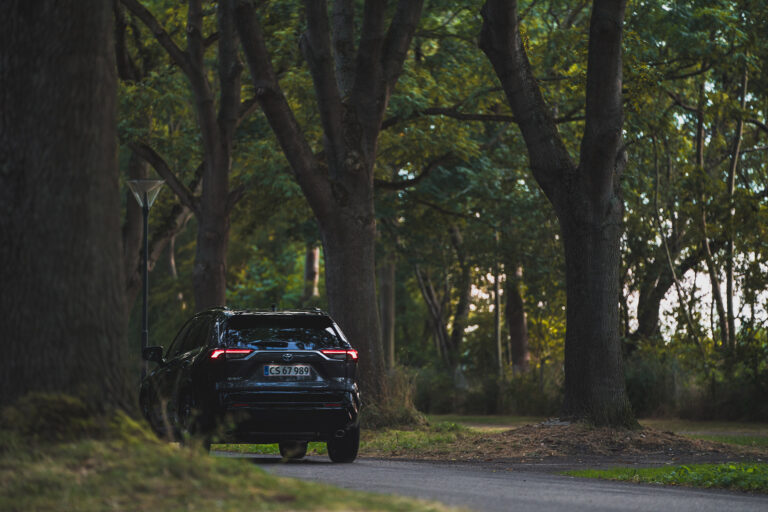 toyota-rav-4-v-hybride-131184.jpg