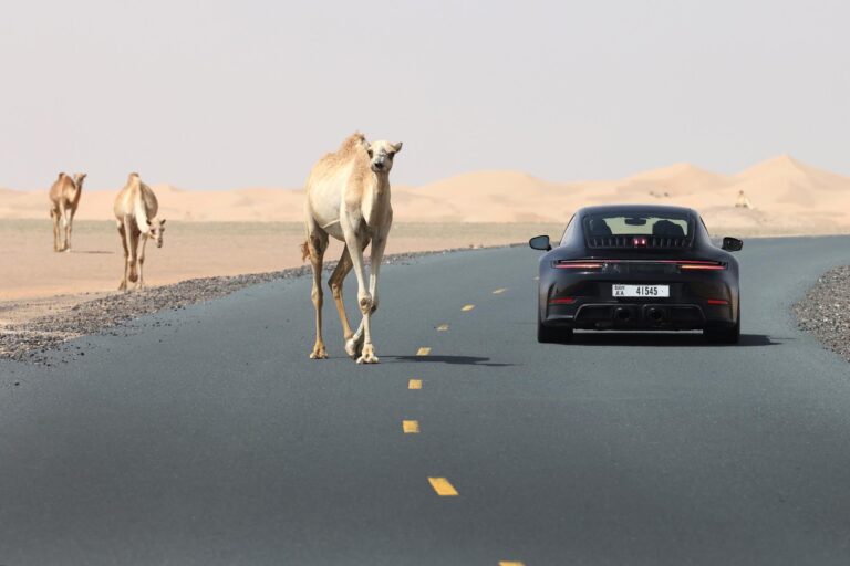 porsche-911-25825-4.jpg