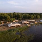 Volkswagen California Festival 2025