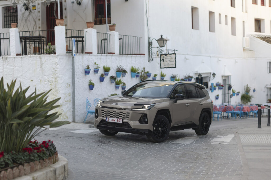 toyota-rav-4-6-hybride-2-5-143624.jpg